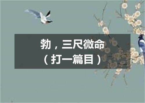 勃，三尺微命（打一篇目）