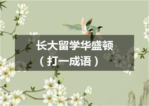 长大留学华盛顿（打一成语）