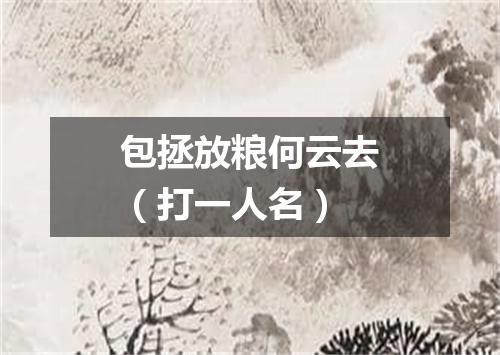 包拯放粮何云去（打一人名）