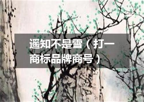 遥知不是雪（打一商标品牌商号）