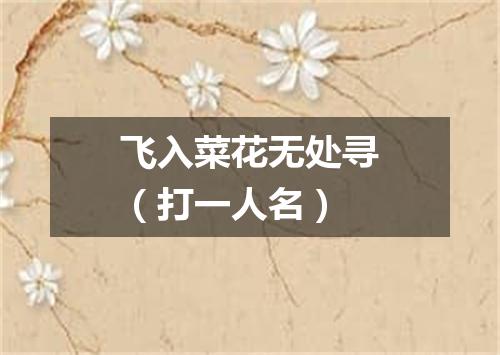 飞入菜花无处寻（打一人名）