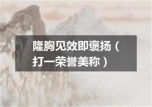 隆胸见效即褒扬（打一荣誉美称）