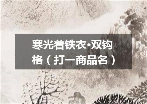 寒光着铁衣·双钩格（打一商品名）