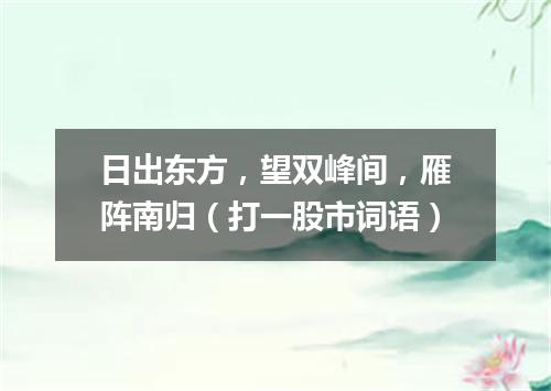 日出东方，望双峰间，雁阵南归（打一股市词语）