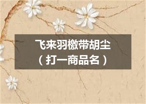 飞来羽檄带胡尘（打一商品名）