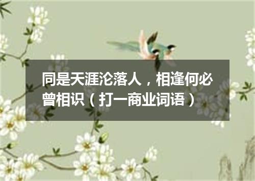 同是天涯沦落人，相逢何必曾相识（打一商业词语）