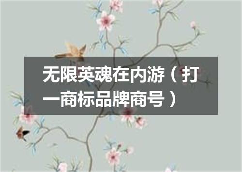 无限英魂在内游（打一商标品牌商号）