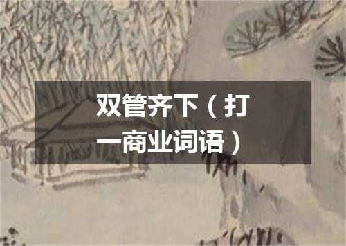 双管齐下（打一商业词语）