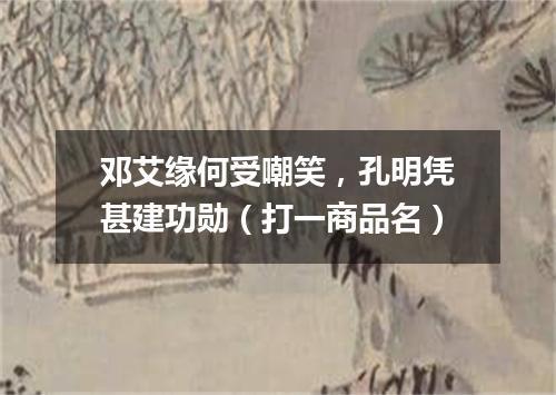 邓艾缘何受嘲笑，孔明凭甚建功勋（打一商品名）