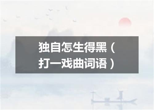 独自怎生得黑（打一戏曲词语）