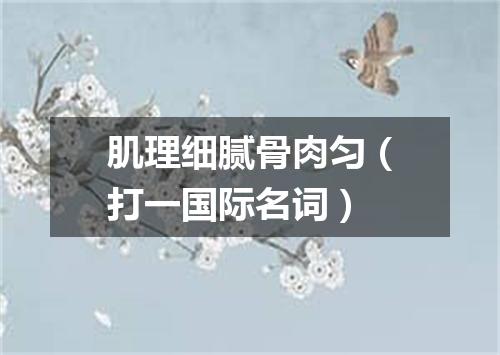 肌理细腻骨肉匀（打一国际名词）