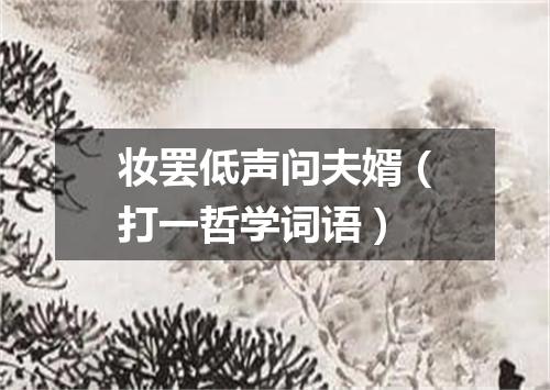 妆罢低声问夫婿（打一哲学词语）