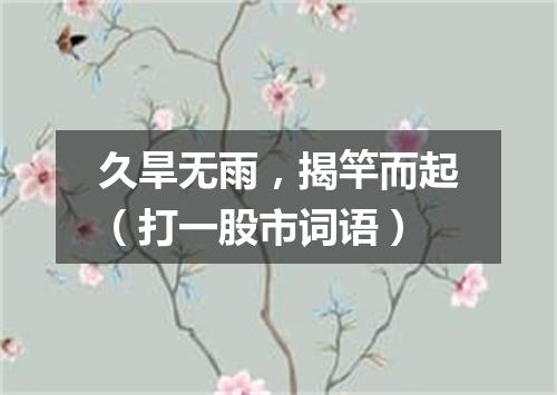 久旱无雨，揭竿而起（打一股市词语）