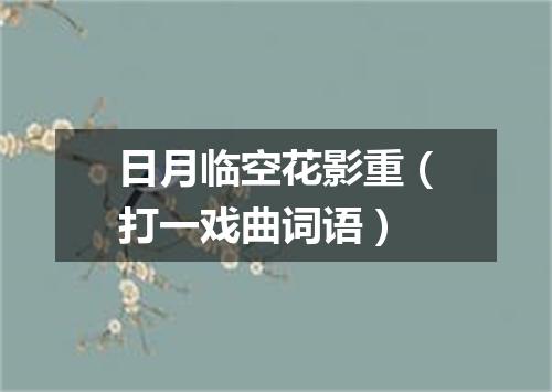 日月临空花影重（打一戏曲词语）