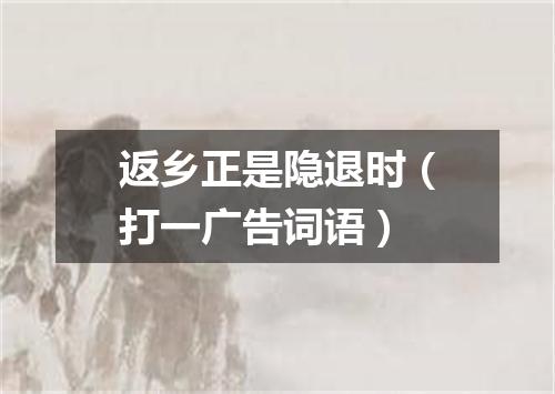返乡正是隐退时（打一广告词语）