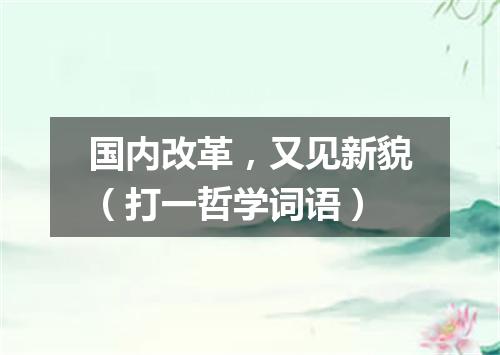 国内改革，又见新貌（打一哲学词语）