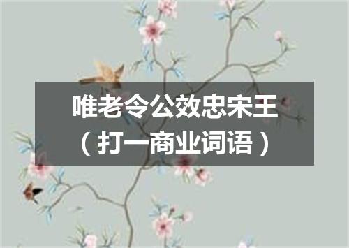 唯老令公效忠宋王（打一商业词语）