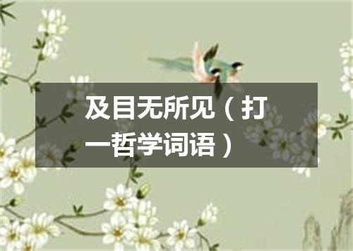 及目无所见（打一哲学词语）