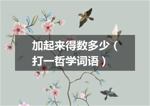 加起来得数多少（打一哲学词语）