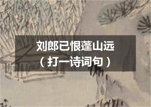 刘郎已恨蓬山远（打一诗词句）