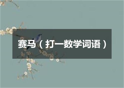 赛马（打一数学词语）