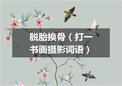 脱胎换骨（打一书画摄影词语）