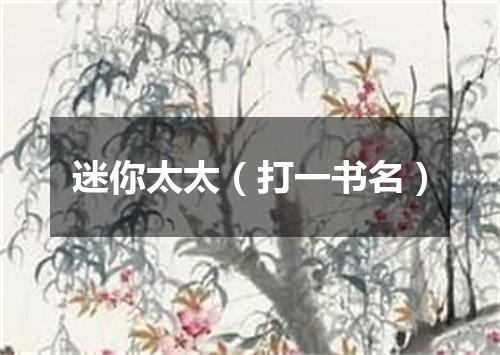 迷你太太（打一书名）