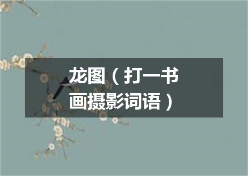 龙图（打一书画摄影词语）