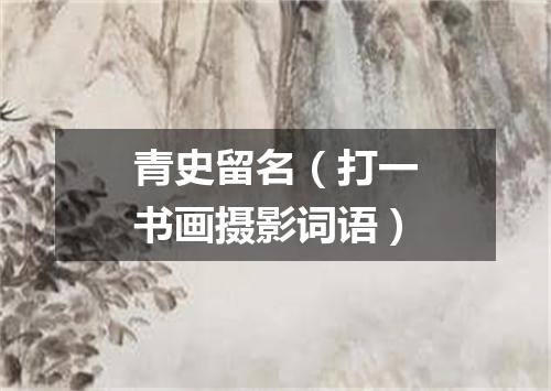 青史留名（打一书画摄影词语）