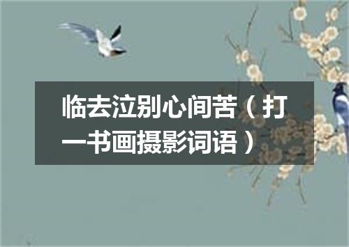 临去泣别心间苦（打一书画摄影词语）