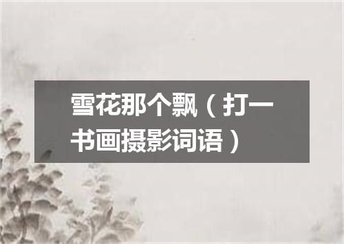 雪花那个飘（打一书画摄影词语）