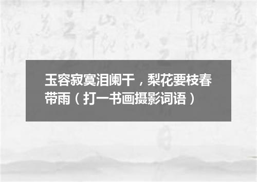 玉容寂寞泪阑干，梨花要枝春带雨（打一书画摄影词语）