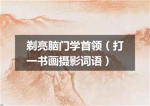 剃亮脑门学首领（打一书画摄影词语）