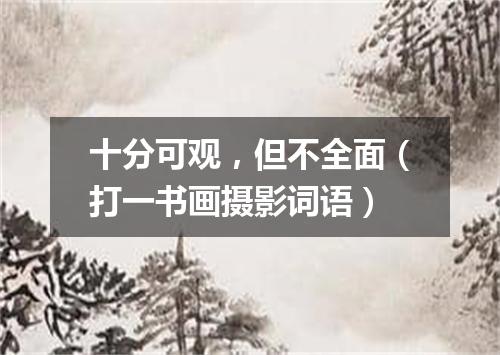 十分可观，但不全面（打一书画摄影词语）