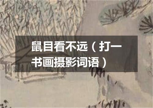 鼠目看不远（打一书画摄影词语）