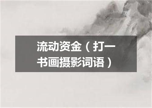 流动资金（打一书画摄影词语）