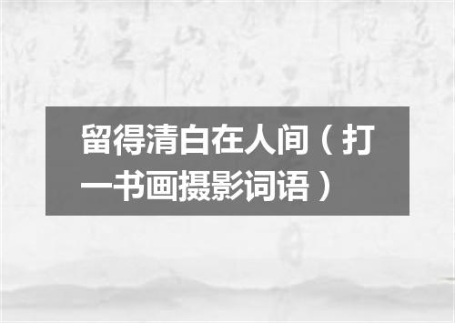 留得清白在人间（打一书画摄影词语）