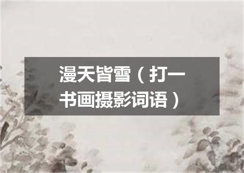 漫天皆雪（打一书画摄影词语）