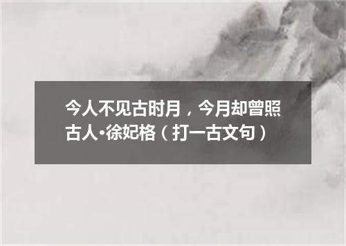今人不见古时月，今月却曾照古人·徐妃格（打一古文句）