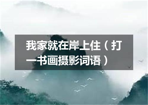 我家就在岸上住（打一书画摄影词语）