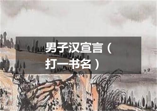 男子汉宣言（打一书名）