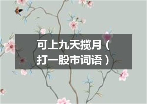 可上九天揽月（打一股市词语）