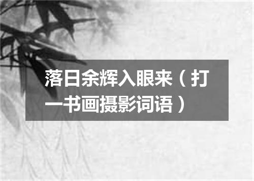 落日余辉入眼来（打一书画摄影词语）