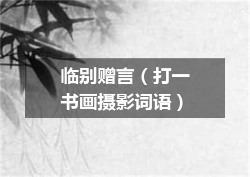 临别赠言（打一书画摄影词语）