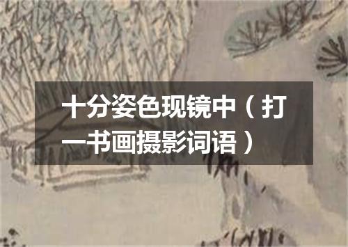 十分姿色现镜中（打一书画摄影词语）