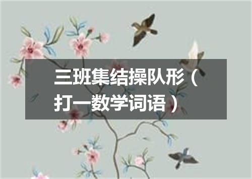 三班集结操队形（打一数学词语）