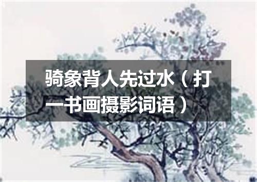 骑象背人先过水（打一书画摄影词语）