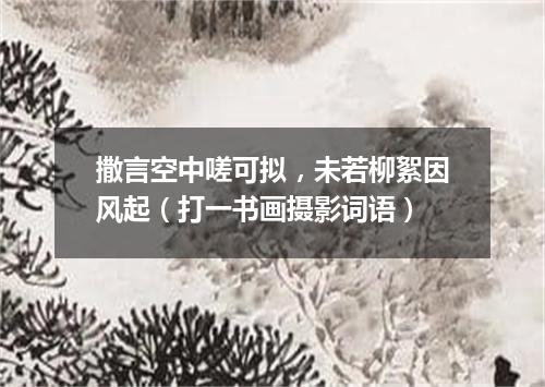 撒言空中嗟可拟，未若柳絮因风起（打一书画摄影词语）