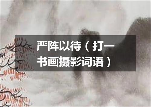 严阵以待（打一书画摄影词语）