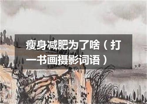 瘦身减肥为了啥（打一书画摄影词语）